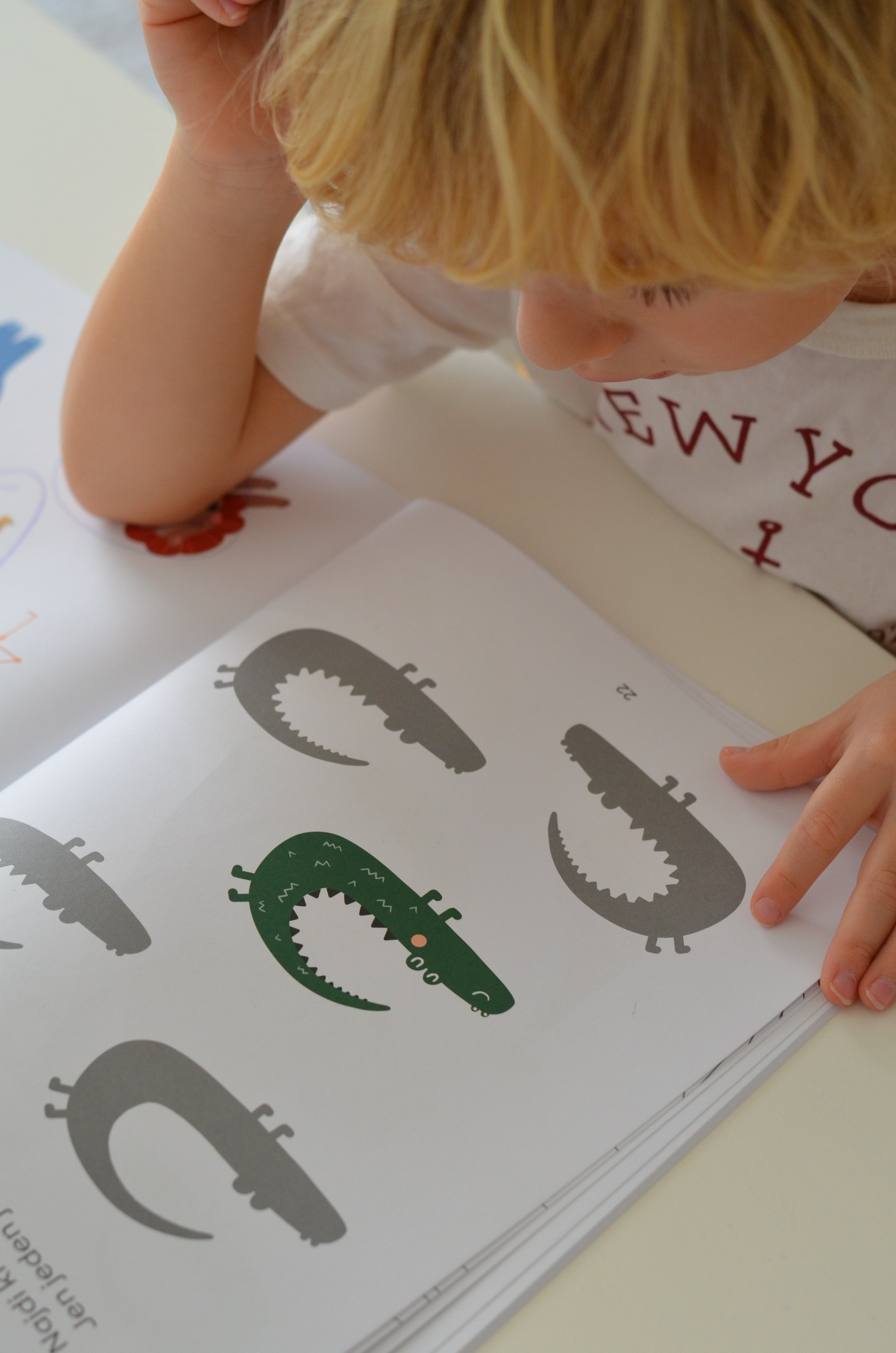 Az első Safari munkafüzetem