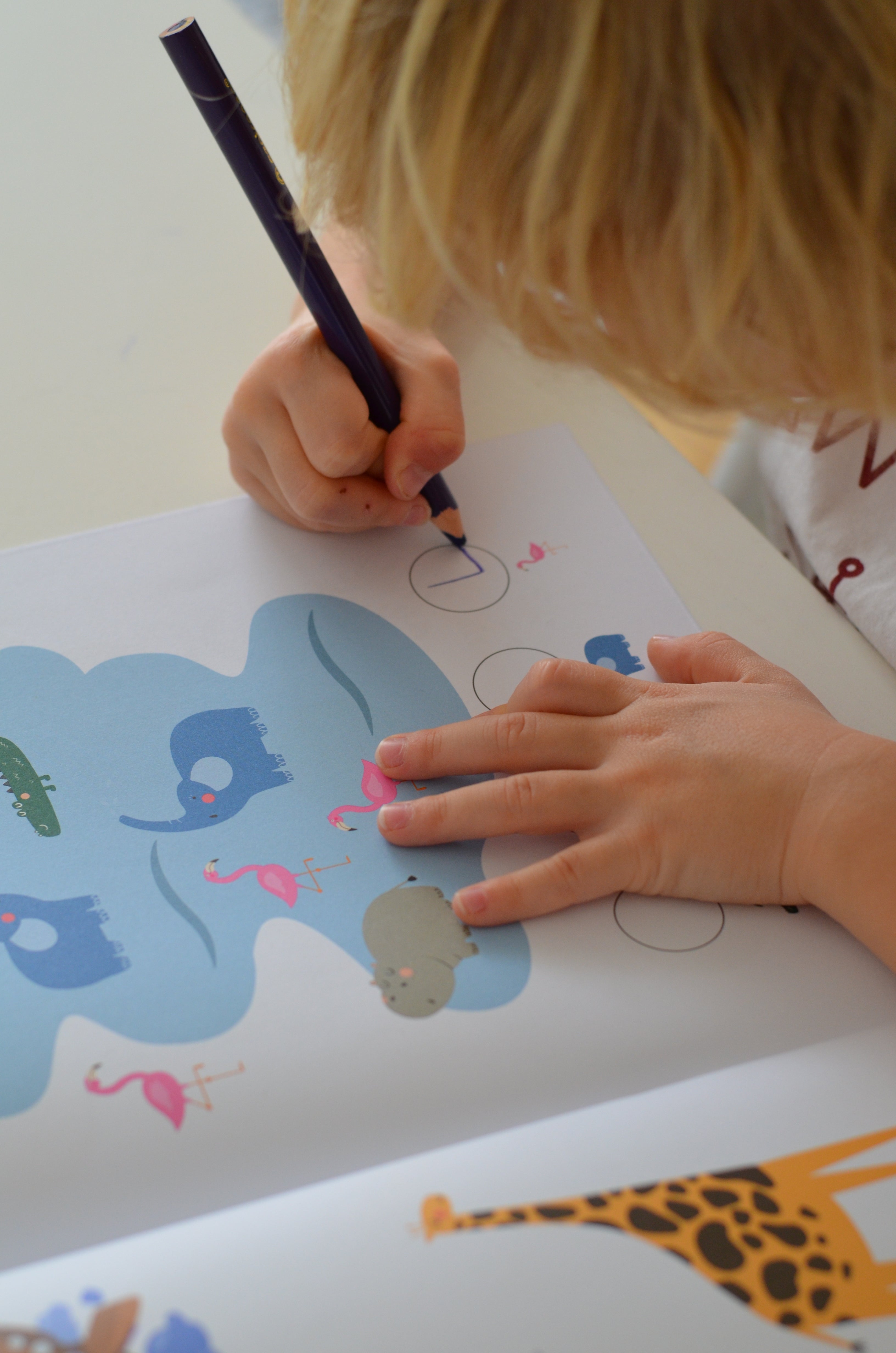 Az első Safari munkafüzetem