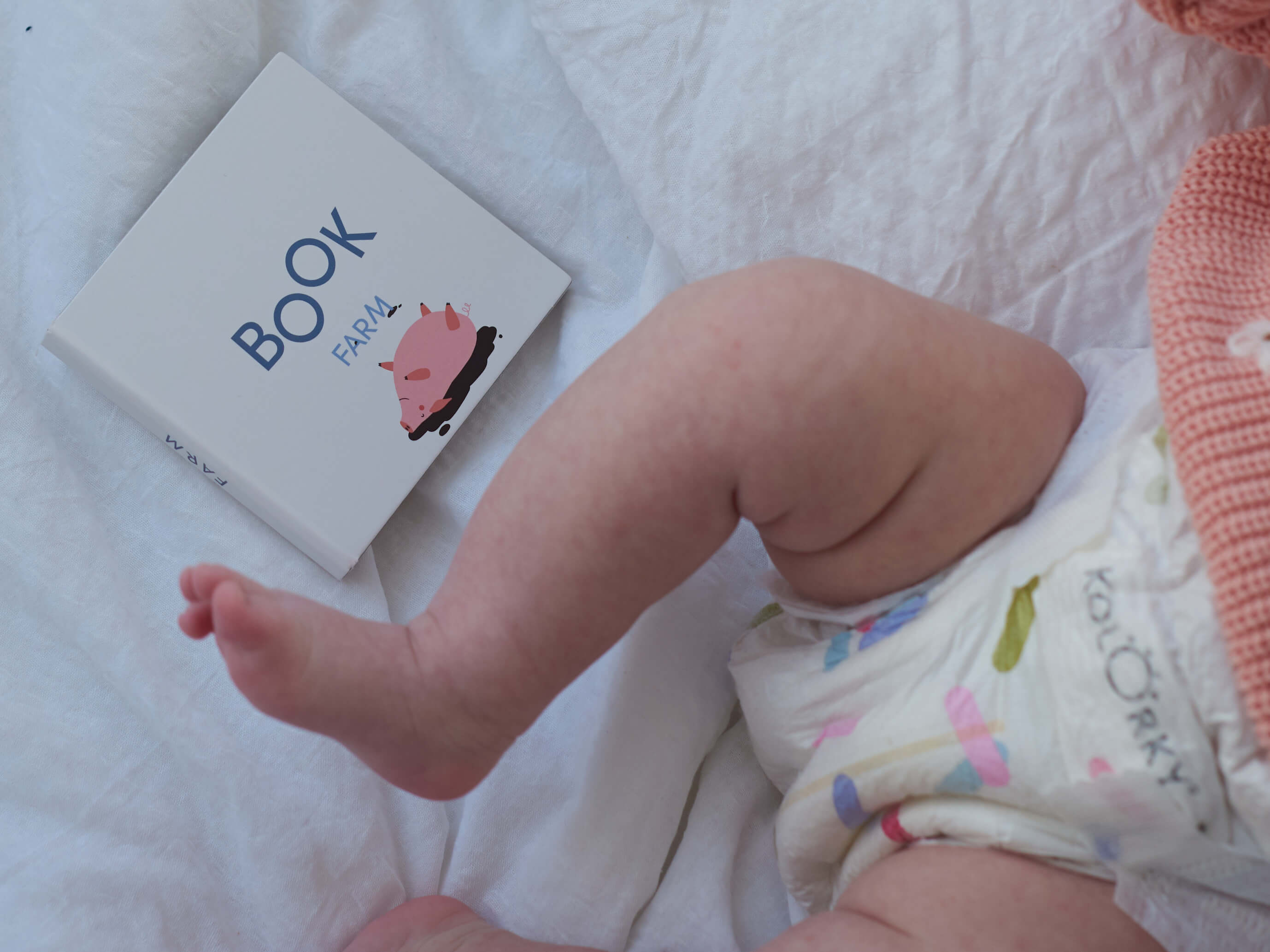 DAY MOMENTS Celebration XL, 6 ks